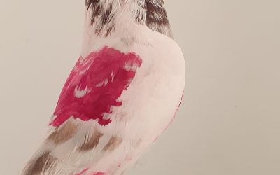 GAVINO DE ROJO AM-917334 * 350 PUNTOS *